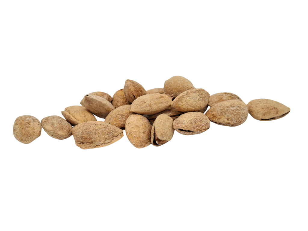 Almendra cáscara mollar tostada sal